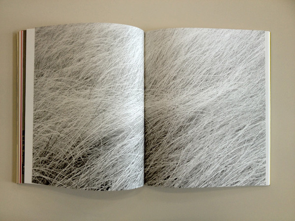 Sánchez Lacasta, 16/1, printed on Bioprima Book Bianco 100 g/m² | Courtesy of Fedrigoni 2016 | Photo © Andrea Basile