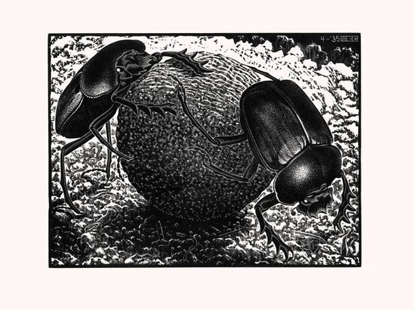 Maurits Cornelis Escher. Escher, Chiostro del Bramante, Roma
