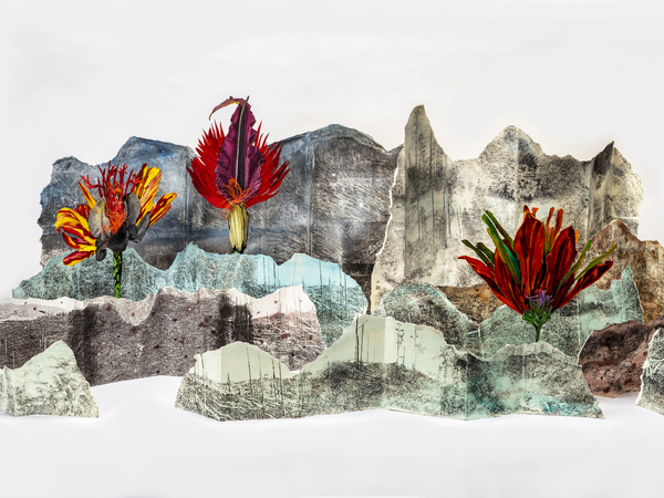 Marzia Migliora, Paradossi dell’Abbondanza #62 , Diorama #1 , 2025. Trasferimento a trielina su carta, collage, alluminio, teca, 70 x 104 x 48 cm. Foto di Mariano Dallago Courtesy: dell’artista; Arte Sella; Galleria Lia Rumma, Milano / Napoli