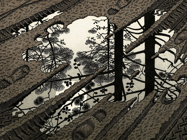 Maurits Cornelis Escher, Pozzanghera, 1952 Xilografia, Collezione privata, Italia All M.C. Escher works | © 2018 The M.C. Escher Company | All rights reserved www.mcescher.com