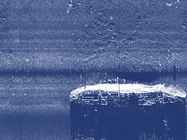 Anca Benera & Arnold Estef&aacute;n, <em>Scores for the Sonic Eye</em> (detail) | Courtesy &copy; the artists