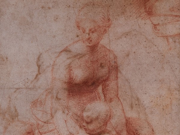 Raffaello Sanzio, Studio per la Madonna del Belvedere | © Bridgeman Images
