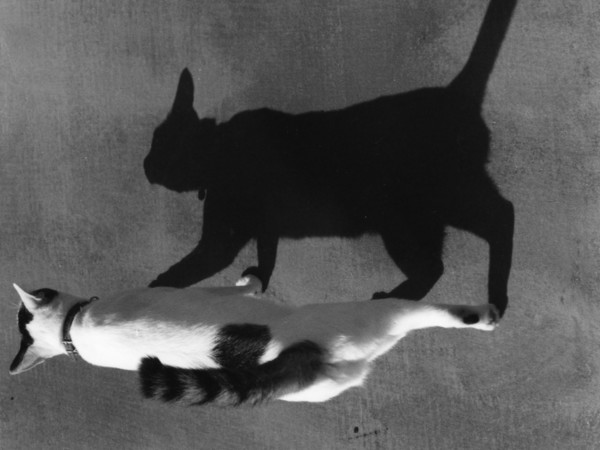Nobuyoshi Araki, Balcony of Love, 1983 - 2011 | © Nobuyoshi Araki