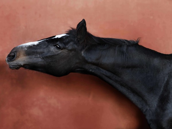 Luna - Ottavia Poli, Calendario Survivors.