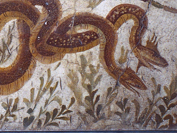 Serpenti agatodemoni da Ercolano, 13 settembre 1745 I secolo d.C., intonaco dipinto ad affresco, Museo Archeologico Nazionale di Napoli | Courtesy of Museo Archeologico Nazionale di Napoli, Museo Egizio di Torino