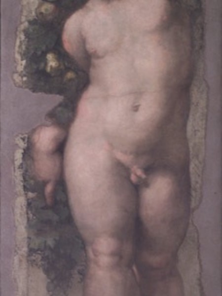 Raffaello Sanzio, Putto