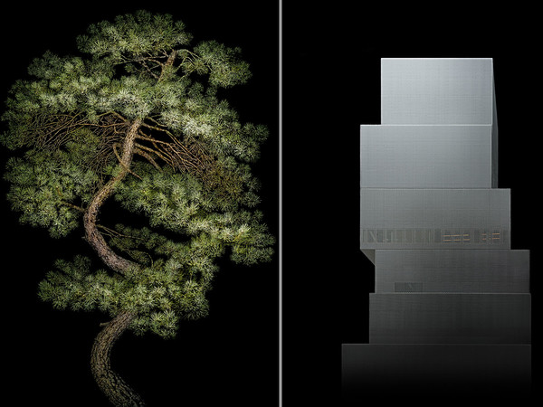 Irene Kung, Manchurian Pine and New Museum | © Irene Kung | Courtesy of Galleria Valentina Bonomo