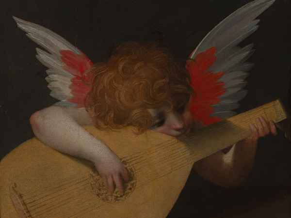 Rosso Fiorentino (Giovan Battista di Jacopo; Firenze 1494-Fontainebleau 1540), Angiolino musicante, 1521; olio su tavola; cm 39,5 x 47. Firenze, Galleria degli Uffizi, inv. 1890 n. 1505