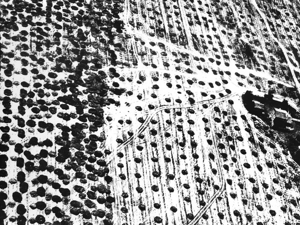 Mario Giacomelli. Il fotografo e il poeta, Milano, Palazzo Reale, Dal 22 maggio al 7 settembre 2025 | Mario Giacomelli, L’infinito, 1986-1988 | © Archivio Mario Giacomelli, Senigallia