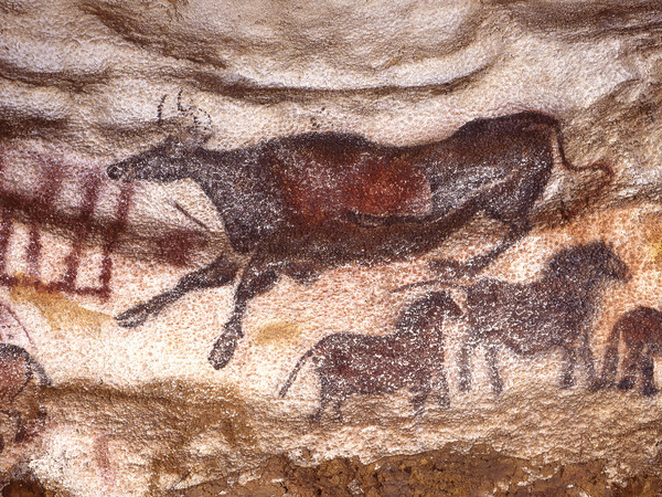 Lascaux 3.0, Vache Tombant | Courtesy MANN - Museo Archeologico Nazionale di Napoli 2020