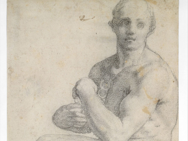 Bottega di Jacopo da Pontormo, Due studi di uomo seduto nudo, metà sedicesimo secolo.