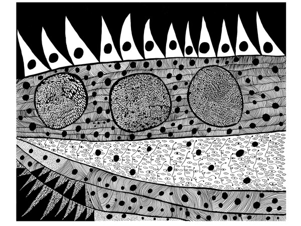 Yayoi Kusama, WAKING UP IN THE MORNING［TQSTW］, 2017, Acrilico su tela, 194 × 194cm | © YAYOI KUSAMA