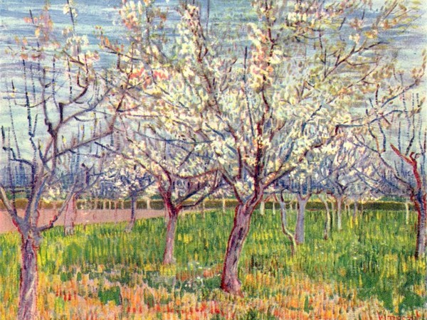 Vincent Van Gogh, Albicocchi in fiore, 1888. Olio su tela, 65,5x80,5 cm. Van Gogh Museum, Amsterdam