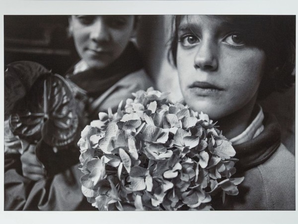 Letizia Battaglia, <em>Domenica delle Palme, Le Ortensie, Trapani</em><span>, 1992, </span>stampa fotografica, cm. 70x50. Pinacoteca di Arte Moderna e Contemporanea, Museo Civico di Castelbuono