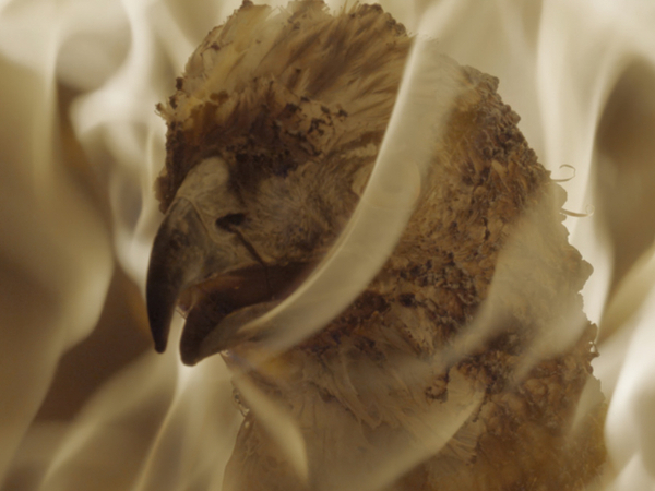 Andro Eradze. Bones of Tomorrow, Palazzo Strozzi, Firenze