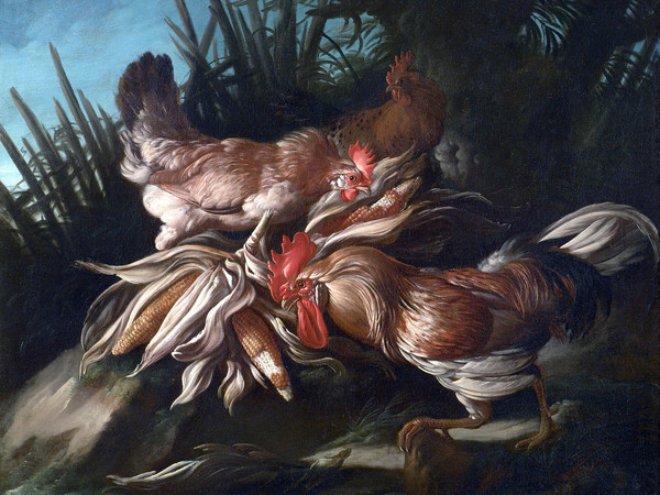 Giorgio Duranti, Due galli con pannocchie nel paesaggio, olio su tela, 80 x 100 cm.