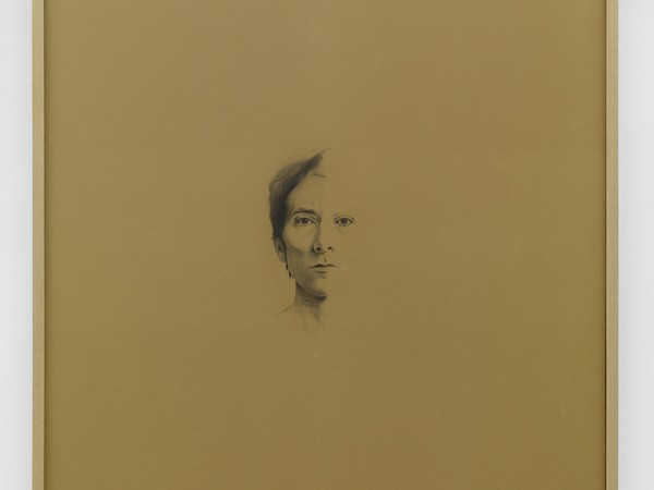 Giovanni Anselmo, Lato sinistro, 1970. Matita su carta intelata, cm 120 x 102. Collezione privata