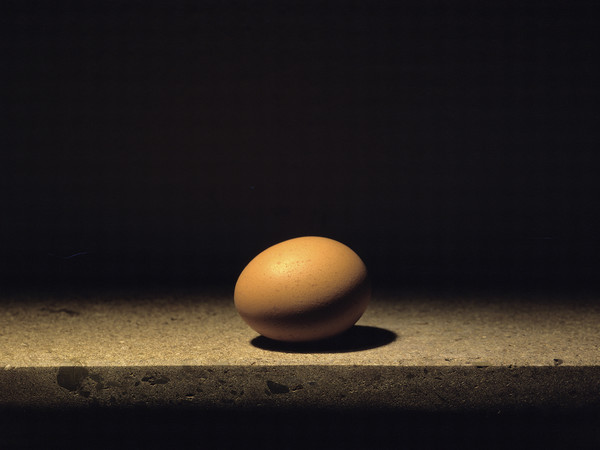 Mauro Davoli, Uovo, 2001, 33 x 22 cm | © Mauro Davoli
