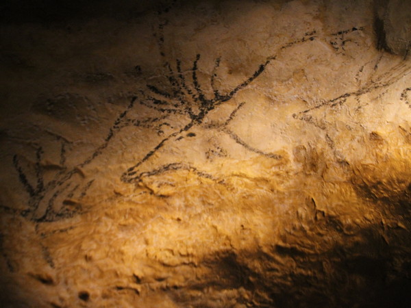 Lascaux 3.0, Cerf | Courtesy MANN - Museo Archeologico Nazionale di Napoli 2020