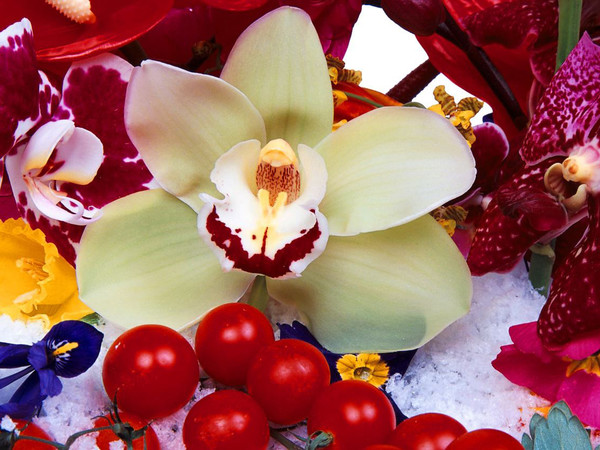 Marc Quinn, Thor in Nenga, 2009, Olio su tela, 270x170 cm | Courtesy of Fama Projects, Verona
