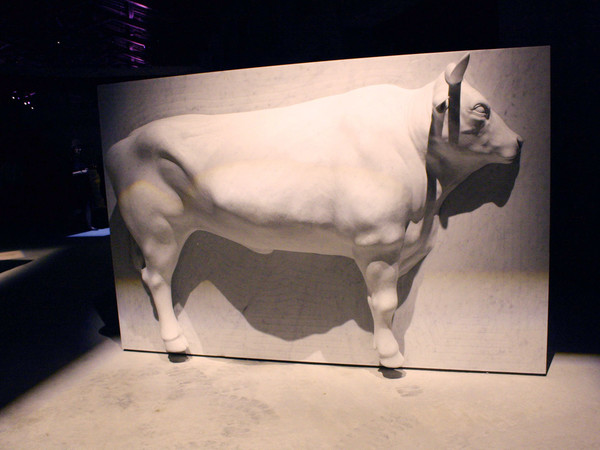 Mattia Bosco, Bue Tractor, Prestito della Fondazione Henraux