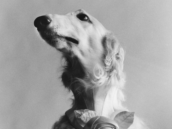 Elliott Erwitt, USA, New York, 1999 | © Elliott Erwitt
