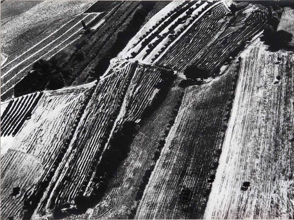 Mario Giacomelli, Presa di coscienza sulla natura, 385x280 mm | Courtesy of Studio Guastalla Arte Moderna e Contemporanea / The Lone T art space | Foto: Cristian Castelnuovo