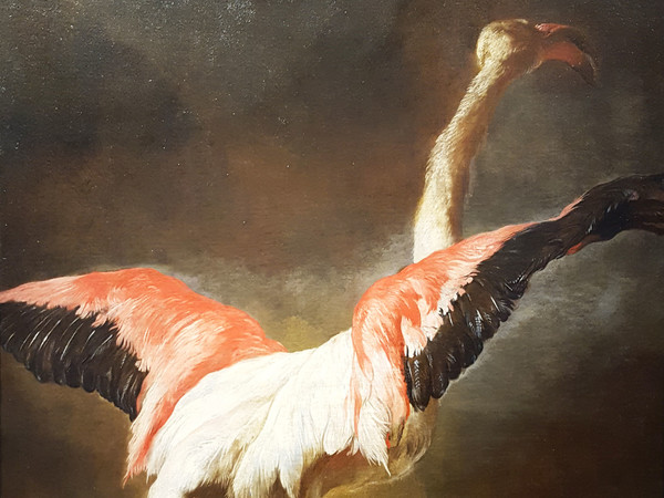 Pieter Boel (1622 - 1674), Fenicottero, Olio su tela, 78 x 122 cm, Collezione privata