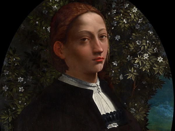 Dosso Dossi (? -1542), Ritratto di giovane, Possibile ritratto di Lucrezia Borgia, Circa 1518, Olio su pannello, 74.5 x 57.2 cm, National Gallery of Victoria