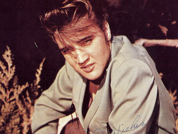 Elvis Presley | Elvis Presley Museum, Palazzetto Baviera, Senigallia 2017