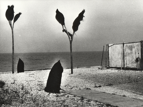 Mario Giacomelli Fotografo Artista Poeta