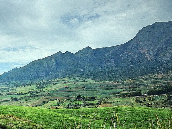 Il bel paesaggio di Cerda e la valle del Carciofo Spinoso Palermitano, 1.200 ettari dove si produce un'altra eccellenza del territorio del Distretto di Cefalù, Madonie e Himera