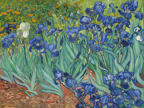 Vincent van Gogh, Iris, 1889, Olio su tela, 71 x 93 cm, Los Angeles, J.Paul Getty Museum