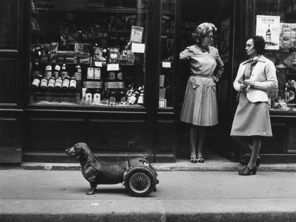 Robert Doisneau, <em>Un chien à roulettes</em>, 1977 | © Atelier Robert Doisneau© Atelier Robert Doisneau
