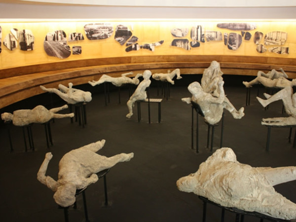Rapiti alla morte. I calchi - le fotografie, Pompei Rapiti alla morte. I calchi - le fotografie, Pompei