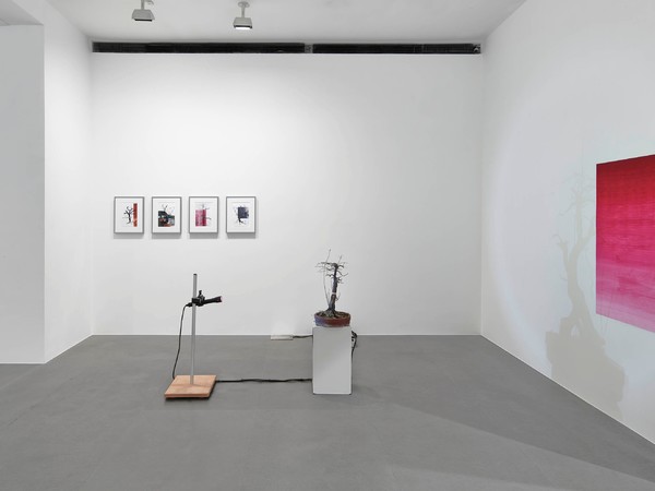 Prototypology, An Index of Process and Mutation, 14 January - 5 March 2016,  GAGOSIAN GALLERY, Via Francesco Crispi, 16, 00187, Rome | © Photo  Matteo D’Eletto M3 Studio - Image Courtesy Gagosian Gallery