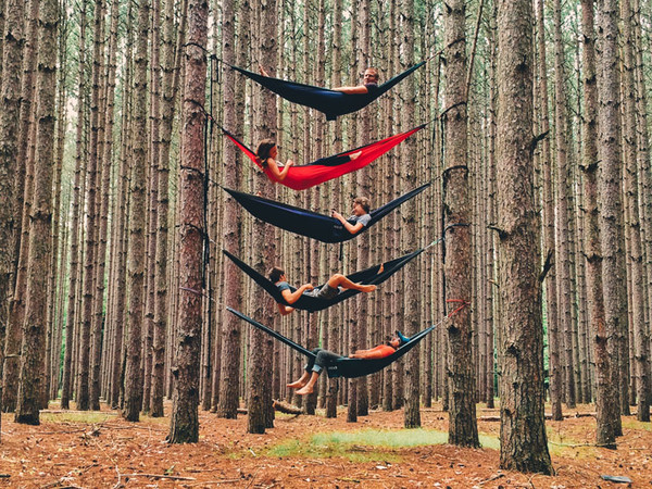 Photographer: @Littlecoal Country: United States
