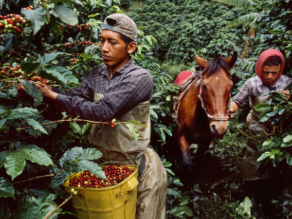 Steve McCurry, Colombia