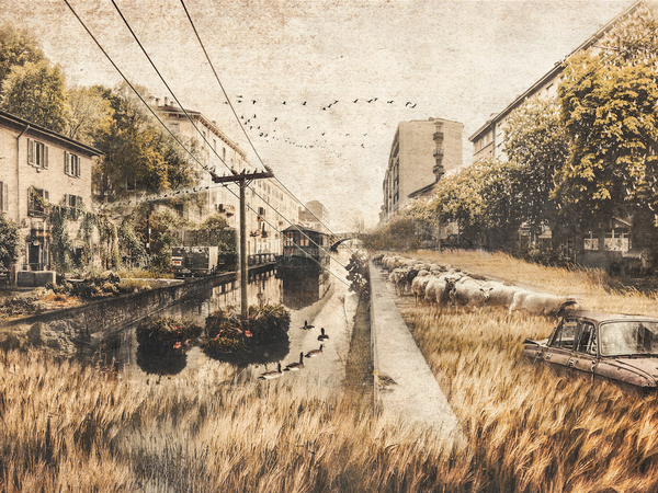 Fantoni, Balsarini, Battistini, Li, Kafili, Flows | © Milano Animal City 2016