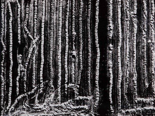 Mario Giacomelli, Presa di coscienza sulla natura, 390x285 mm | Courtesy of Studio Guastalla Arte Moderna e Contemporanea / The Lone T art space | Foto: Cristian Castelnuovo