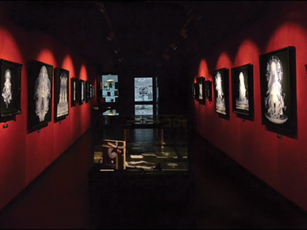 Dorothy Circus Gallery, Roma - 