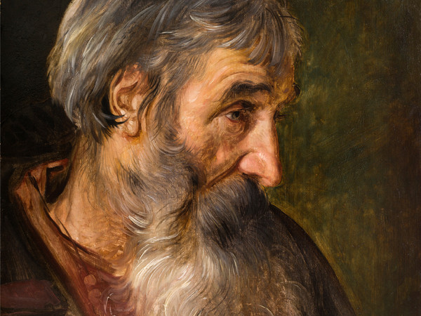 Maerten de Vos (1532 - 1603), Studio di testa di uomo con la barba, Olio su tela, 36 x 40 cm, Anversa, Collezione privata