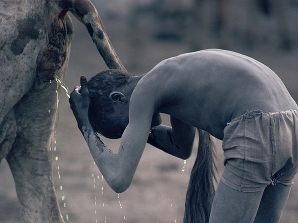 Un ragazzo Nuer si lava i capelli con l’urina di mucca. Jonglei, Sudan del Sud 1981. © Kazuyoshi Nomachi
