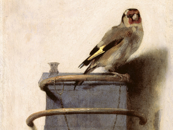 Carel Fabritius, Il cardellino, 1654, olio su tavola, cm 33,5 x 22,8. L’Aia, Gabinetto reale di pitture Mauritshuis acquisito nel 1896. © L’Aia, Gabinetto reale di pitture Mauritshuis