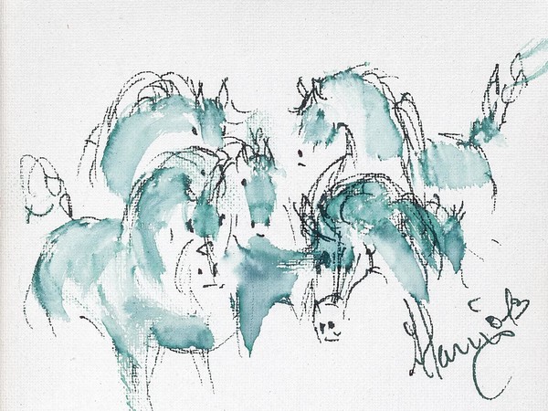 Abdesalam El Alami Sidi, The Madness of the Horses, 2013, Morocco