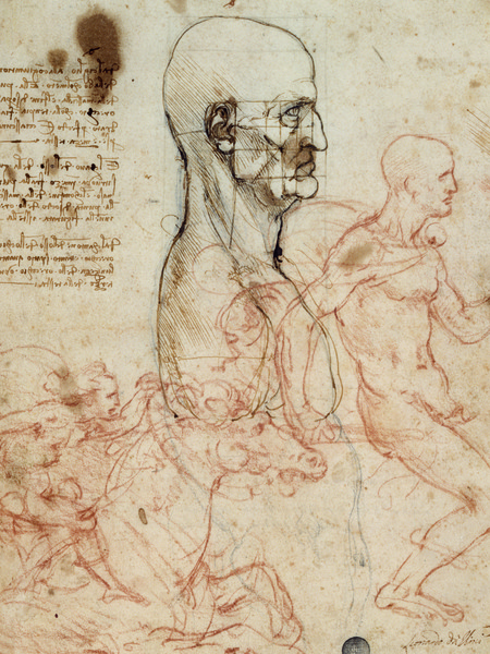 Leonardo Da Vinci, Tronco di un uomo di profilo con schema di proporzione, studio di cavallo e cavalieri, Gallerie dell’Accademia, Venezia