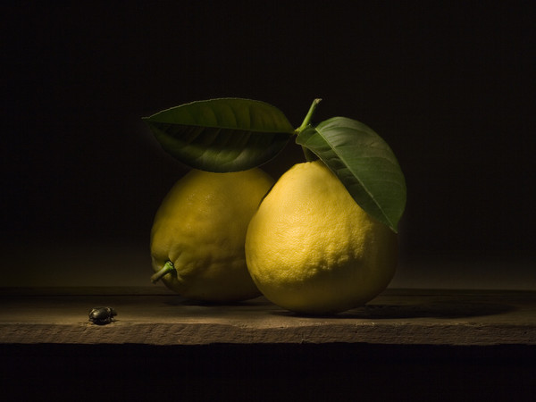 Mauro Davoli, Cedri con scarabeo, 2010, 90 x 60 cm | © Mauro Davoli