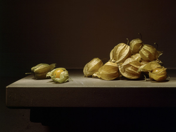 Mauro Davoli, Alkekengi, 2001, 90 x 60 cm | © Mauro Davoli