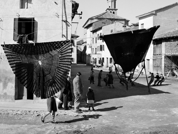 Elio Ciol, Tiro alla fune, Marano Lagunare 1958 | © Elio Ciol