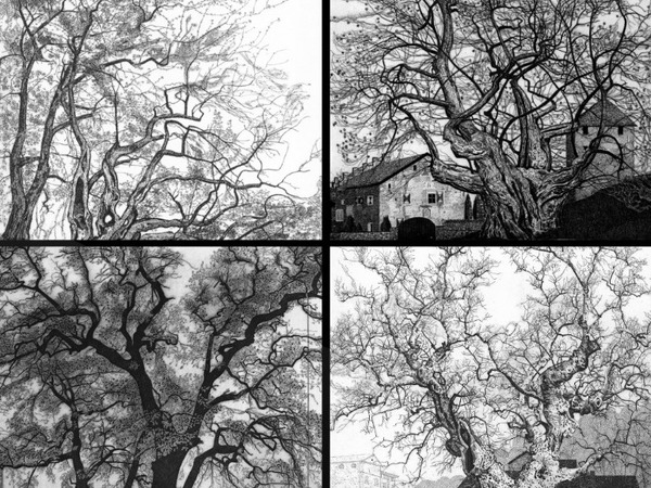 Federica Galli. La Signora degli Alberi, UpTown Milano - Cascina Merlata SpazioVivo, Milano